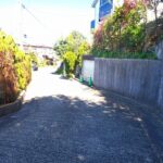 前面道路(周辺)