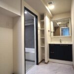 洗面：ハンドシャワー付洗面台・収納スペース